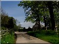 Thornhill Road track - approaching the Vanguard Way route