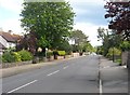 Main road heading way from Rose Green, through Aldwick