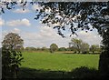 Farmland at Southtown