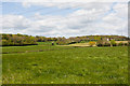 Fields east of High Wood