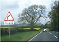 Approaching a bend in the A68 near Birchbank Laretburn