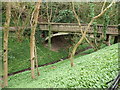 Penarth: footbridge in Alexandra Park