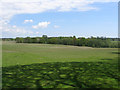 Farmland near Halland