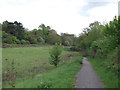 Tandridge Border Path to Furzefield Wood (2)