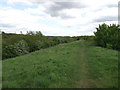 Tandridge Border Path beside the M25