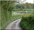 Lane near Milson Airstrip