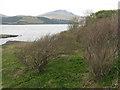 NM4925 : Ben More from across Loch Scridain by M J Richardson