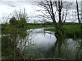 Weir on the River Arrow