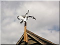 Duck windmill, Lower Pendell Farm