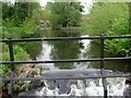 River Lee Near to Sawmill Lodge