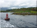 NS0175 : Doon The Watter - 25th June 2011 : Eilean Buidhe East Light, Kyles of Bute by Richard West