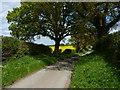 Along the lane towards Harnage Grange