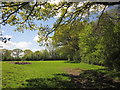 Field near Thickthorn Cross