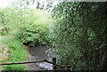 Wooded pond, Swatland Farm