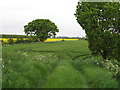 Entrance to arable field