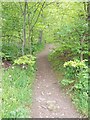 Footpath - Parkside Road