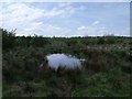 Cumbernauld, Ravenswood Local Nature Reserve [8]