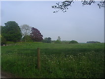 SU6043 : Fields by Dummer Road, Axford by David Howard