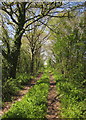 Former railway line near Cad Road