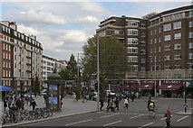 TQ2678 : South Kensington, Pelham Street by David Dixon