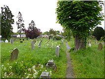 SJ3464 : Broughton, churchyard by Mike Faherty