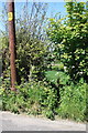 Footpath from Broad Lane across Vearse Farm