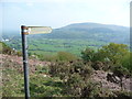 Footpath down off Mynydd Llanwenarth