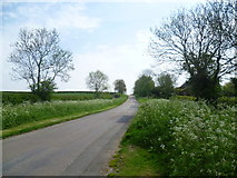 TL0890 : Road near Warmington by Marathon
