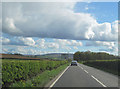 A81 south of Killearn bridge