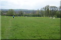 Path to Ribchester