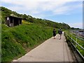 Blackhead path, Whitehead