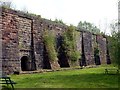 SK0247 : Lime kilns at Froghall Wharf by Graham Hogg