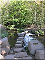 Stepping stones across the Porter Brook