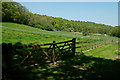 View From Stoatley Hollow, Haslemere, Surrey