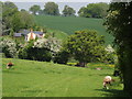 Meadow South of Crondall Lane