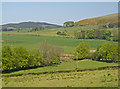 Farmland near Saline