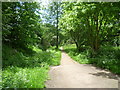 Footpath through Myrna Close Valley