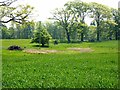 Dried up pond near Wallington