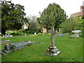 St Mary & St Bartholomew, Cranborne: churchyard (VIII)