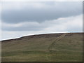 J2873 : Hill slope south of the Divis Mountain road by Eric Jones