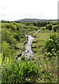 The Collin River from Tomaroy Bridge