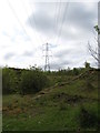 Powerlines crossing a former quarry on the edge of Colin Glen