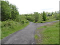 Trail junction at Colin Glen Forest Park