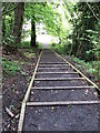 Steps on the east side of the Glen Bridge