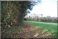 Byway along the edge of Hall Wood