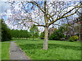 London Road Playing Fields