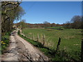 Bridleway to Low Wood House