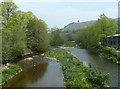 SN9584 : River Severn downstream of Long Bridge, Llanidloes by Andrew Hill