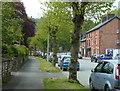 Victoria Avenue, Llanidloes