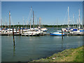 Boats moored at Woolverstone Marina